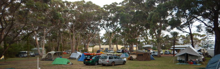 Symposium campsite near Albany. Photo by Alan Hale.
