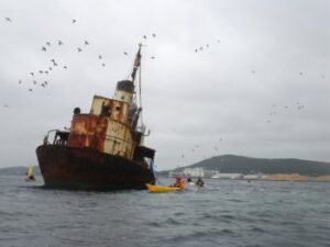 The wreck of Cheynes II - photo Sue Harrington